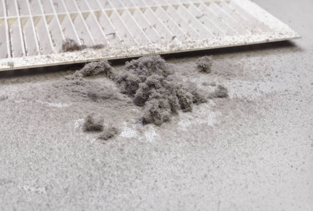 Trusted Fuller Heights, FL Airduct Cleaning Experts