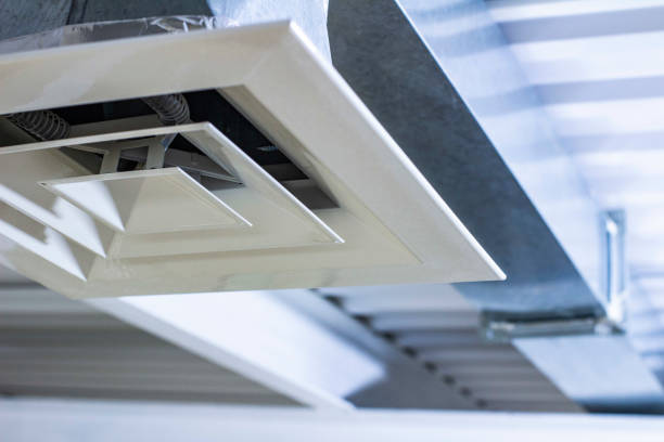 Best Air Duct Mold Removal  in Fuller Heights, FL