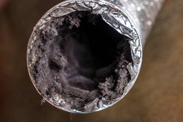 Best HVAC Duct Inspection Services  in Fuller Heights, FL